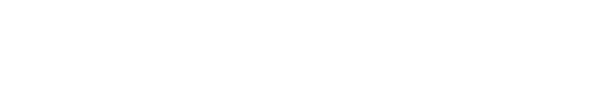 Auto In & Rent
